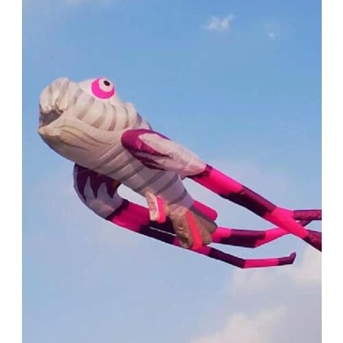 New kite giant 3d kites for adult inflatable kite windsack ripstop nylon wind indicator pilot kite adult kites windsock