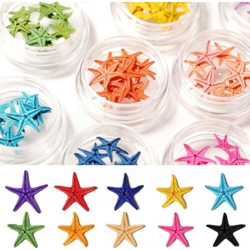 Starfish Nail Art Jewelry Rhinestones Nail Accessories 10 Mixed Sticker Three-Dimensional Accessories Boxed Nail O8E8