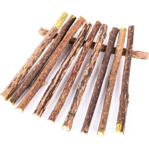 10/15/20pcs Natural Catnip Cat Molar Toothpaste Stick Matatabi Actinidia Fruit Silvervine Cat Snacks Sticks Pet Cleaning Teeth