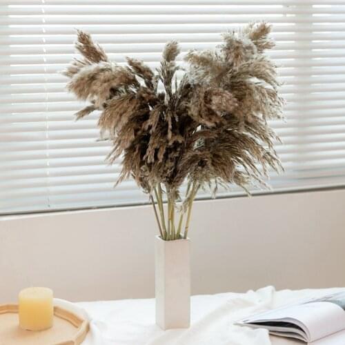 10Pcs/lot Natural Pampas Grass Decor Reed Dried Flower Bouquet Boho Decorations for Home Table Elegant Wedding Artificial Plants