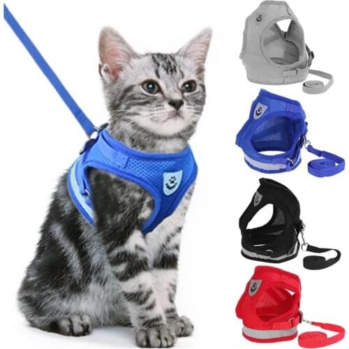 Ошейники для кошек Isfriday China At AliExpress