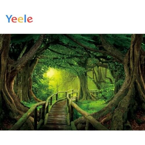 Summer Tropical Forest Jungle Tree Nature Scenery Baby Portrait Backdrop Vinyl Photography Background For Photo Shoot Photophone