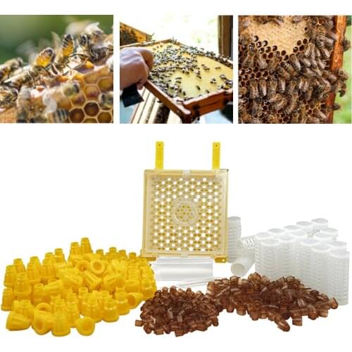 Germany Jenter Queen Rearing Kit Nicot Bee Queens Rearing System Queen Bee Larva Move Cage Goods Tool For Beekeeper Supplies