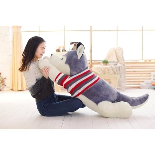 Largest size 140cm gray husky plush toy ,stuffed toy, sweater cloth prone dog hug pillow ,surprised birthday gift h2999