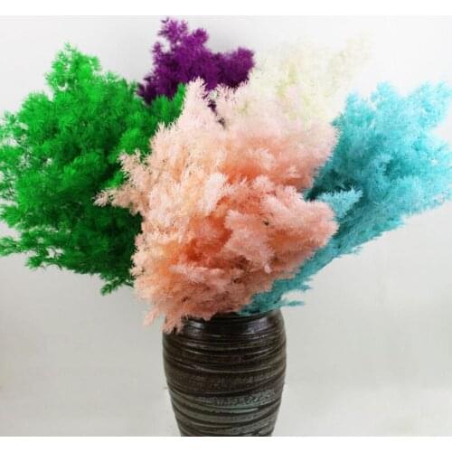 Preserved Flowers Penglai Pine 50CM Natural Dried Eternelle Plant For Christmas Home Decor Flores Artificiales