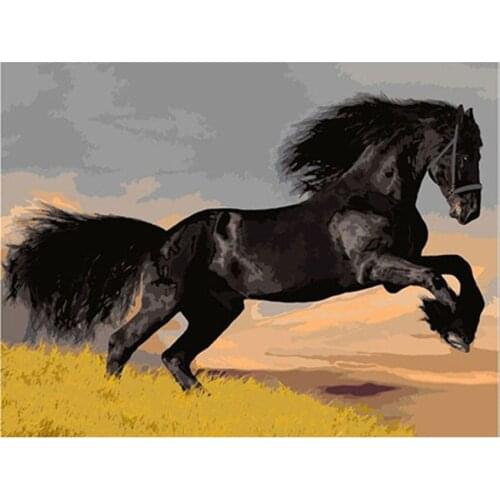 DIY Digital Painting By Numbers Package mighty black horse oil painting mural Kits Coloring Wall Art Picture Gift frameless