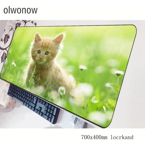 Cute mousepad 700x400x3mm gaming mouse pad big gamer mat cheapest game computer desk padmouse keyboard large play mats