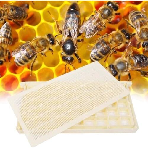 Good Quality Beekeeping Kits, Breeding Cages, Beehive Kits, Beekeeper Accessories, Beekeeping Equipment, Hive Tools