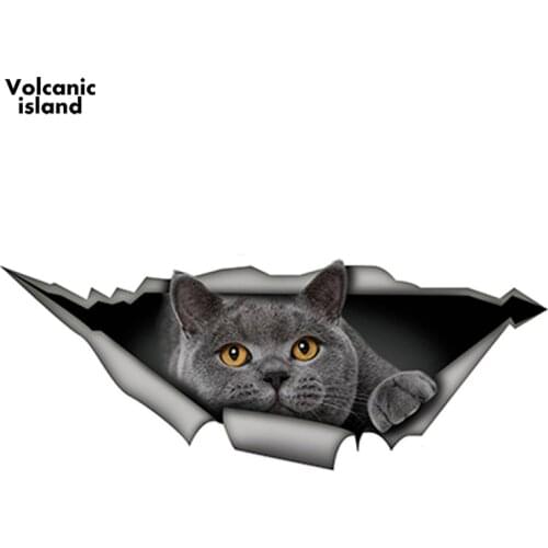 HotMeiNi15cm x 6cm British Shorthair Funny Cat Car Sticker Gray Cat Decal Waterproof 3D Car Styling Stickers Decoration