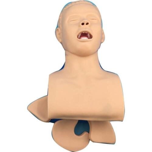 Training and teaching model of adult electronic tracheal intubation human tracheal intubation model