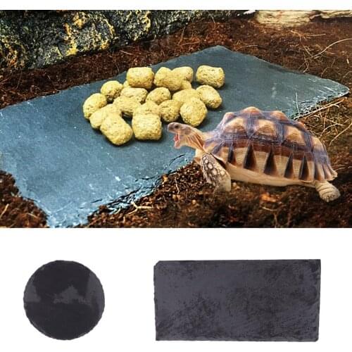 Reptile Turtle Rock Basking Plate Grinding the Nail Food Dish