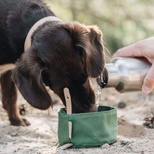 New Dog Bowl Cat Food Bowl Pets Bag Portable Food Folding Waterproof Travel Bowl Dog Drinking Water Bottle Dog Canvas Lunch Box