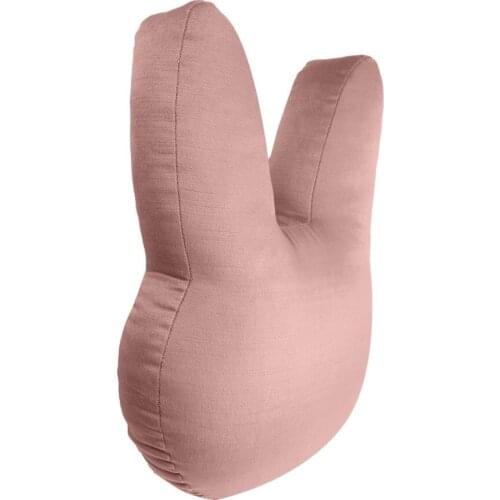 Pink Lapin Velvet Decorative Pillow