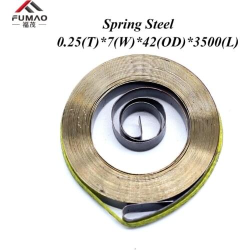 FUMAO Custom constant Force Steel Flat Spiral Torsion Springs For Clock 0.22x4x28x1460mm