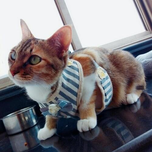 Pet supplies dog out traction rope Teddy chest strap pull rope pull pet dog leash cat leash stripe bows rope