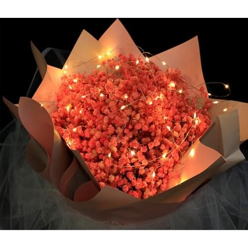 LED Copper Wire Decorative Light String Battery Box Power Supply Light String Gift Box Flower Cake Warm Color Color Decoration
