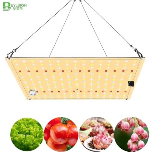 BEYLSION 600WSC IR UV LED Plant Lamp Samsung Quantum Board Phytolamp Medical Plants Growing Lights Board For Veg Flower Blooms