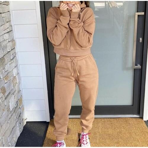 Casual Fleece Sportwear Two Piece Set Fashion Women Streetwear Outfits Pullover Cropped Hoodie And Drawstring Pencil Pant Suits