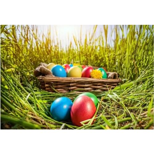 Real professional photo background happy easter egg basket light mud grass children backgrounds for photo studio sunset Backdrop