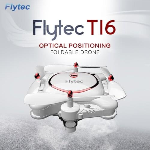 Flytec Radio-controlled Aircraft