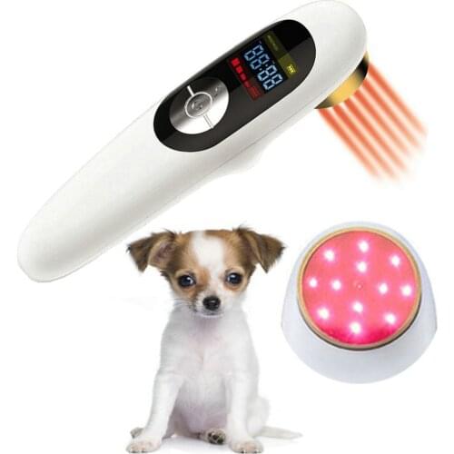 Veterinary Dog Horse Cat Animals Laser Pain Relief Therapy LLLT 650nm and 808nm Infrared Red Light Cold Laser