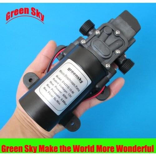 High Pressure lawn,garden,vehicle cleaning, carpet cleaning usage DC 60W 12v mini diaphragm pump