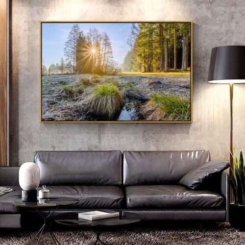 Artcozy Oil Canvas Painting sunrise_sun_rays_morning_forest_trees For Home Decoration Wall Art