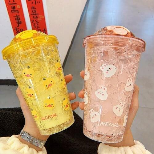 Double Ice Breaker Summer Cute Girl Cartoon Net Red Adult Student Straw Plastic Ice Cup Fashion Korean Water Bottle with Straw