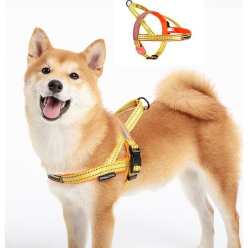 Luminous Dog Leash Waterproof Charging LED Luminous Dog Leash Golden Retriever Dog Leash Dog Collar Accessories Chihuahua