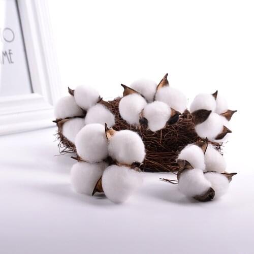 10Pcs Natural Dired Cotton Flowers Artificial Plants Branch Colorful Wedding Christmas Home Wreath DIY Decor Florist Supplies