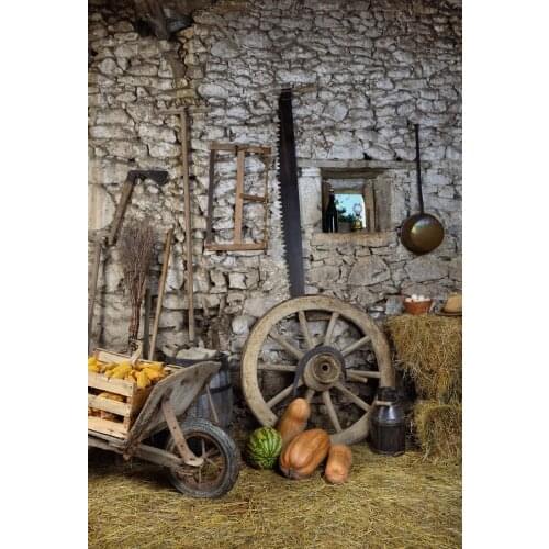 VinylBDS Country Life Camera Fotografica Profissional Old House Photography Backdrops Children Washable Photo Background