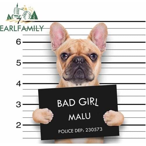EARLFAMILY 13cm x 12.5cm For Dogs Funny Car Stickers Personality Decal Vinyl Material Suitable for VAN RV Refrigerator Decor