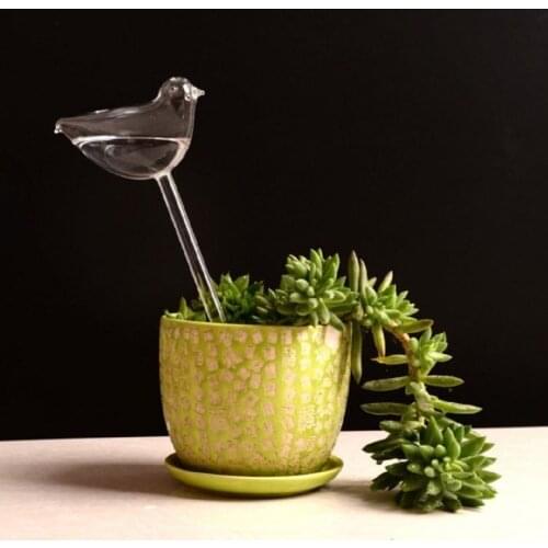 6 Types Glass Plant Flowers Water Feeder Self Watering Bird Design Plant Waterer Device