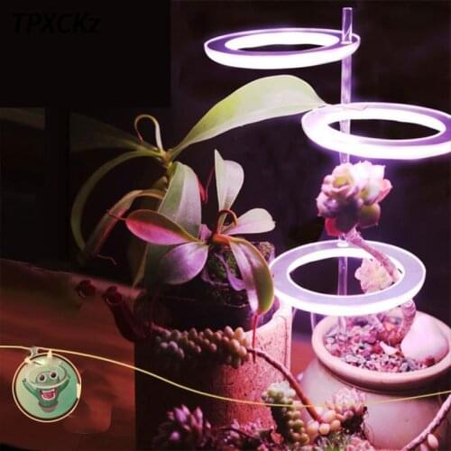 LED Grow Light Full Spectrum Phyto Grow Lamp USB Phytolamp 5V Angel Ring Indoor