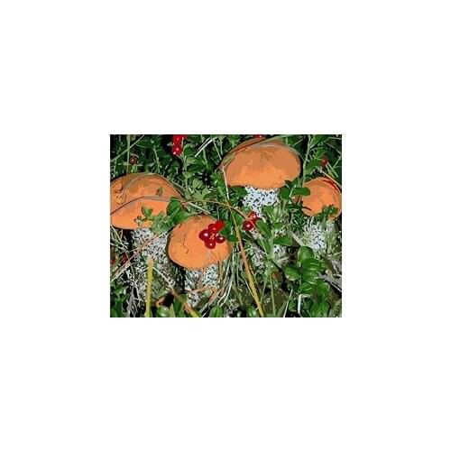 MaHuaf-X732 landscape picture paint on canvas diy digital oil painting paint by numbers flowers hand drawing coloring by number