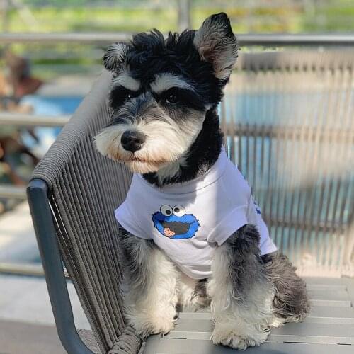 Cats and Dogs Spring and Autumn Thin Clothes Teddy Bichon Schnauzer Corgi Cotton T-shirt Small Dog Pet Clothes