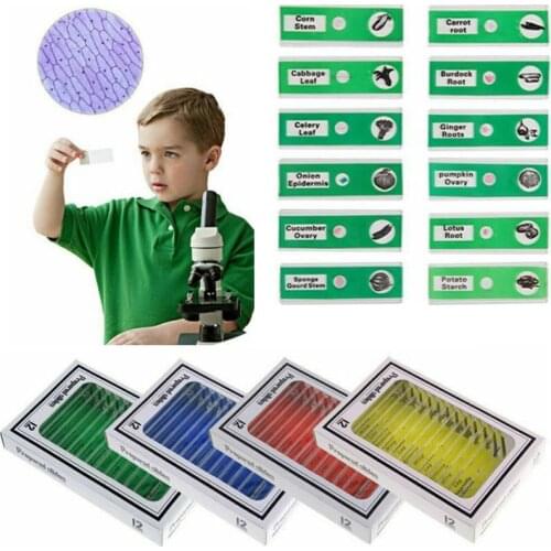 48 pieces/set Kids Plastic Prepared Microscope Slides Of Animals Insects Plants Flowers Sample Specimens For Stereo Microscopes