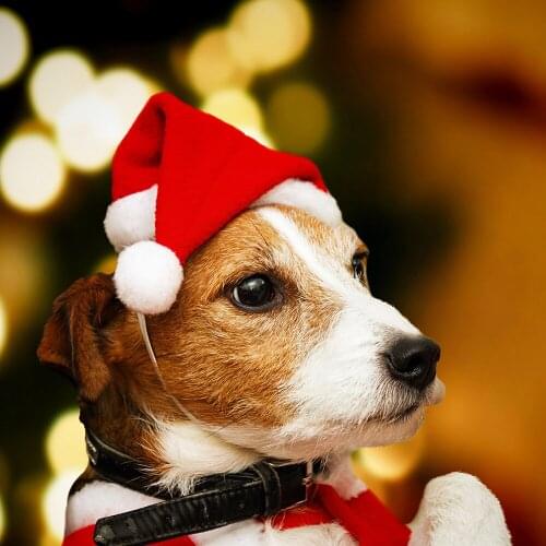 Haube New Decoration Pet Christmas Hat Dog Small Hat High Grade Plush Cap Pet Hat Clothing 1pc
