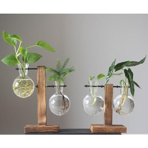 Hydroponic Plant Transparent Wooden Frame Flower Pot Vase St