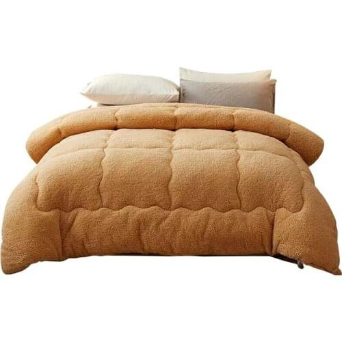 Thicken Warm Lamb wool quilt winter 5kg soft comfortable blanket quilt spring autumn home single double comfoter duvets