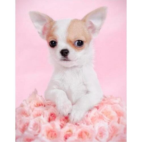 Full square round diamond embroidery chihuahua,5d diamond painting,dog cute pet diamond mosaic picture of rhinestones home decor