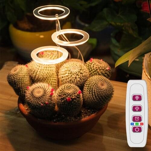 Tuxingzhe Plant Lamps