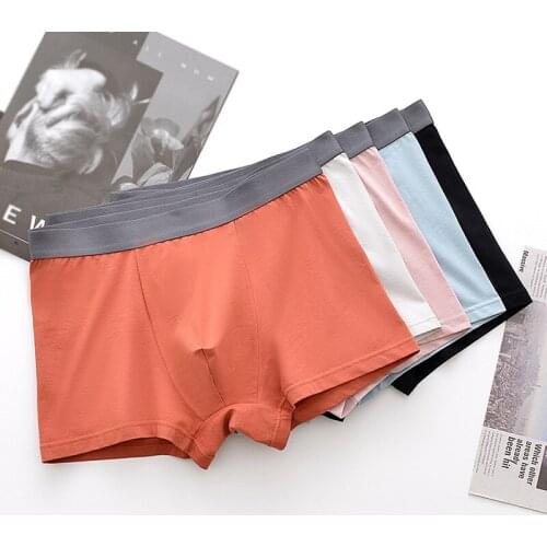 Men Boxers Pure Cotton Breathable Comfortable Large Size L-5XL Boxers Solid Panties Mens Underwear High Quality Wholesale