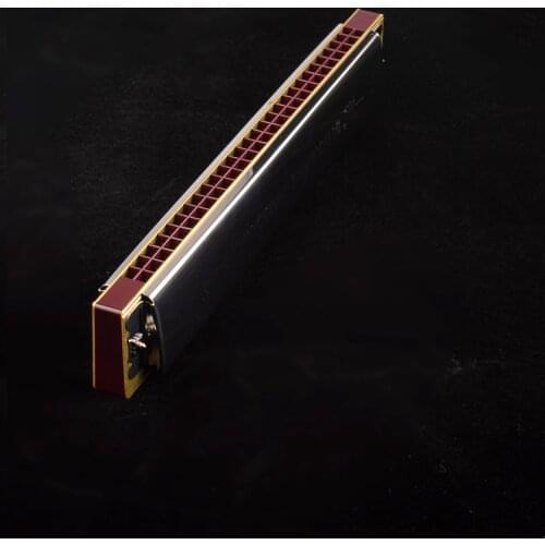 Swan harmonica 28 Holes Tremolo Harmonica Musical Instrument Educational Toy with Case