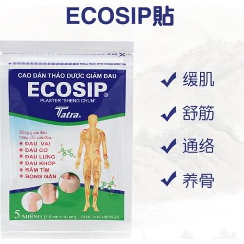 10Pcs Vietnam Ecosip Herb Treatment Osteoarthritis Bone Hyperplasia Omarthritis Rheumatalgia Spondylosis Pain Relief Paste