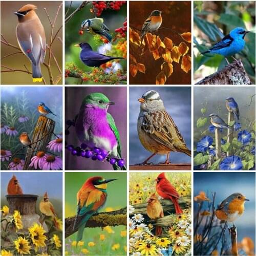 Diy Birds 5d Diamond Painting Full Square Drill Christmas Gift Home Decor Animal Diamond Embroidery Cross Stitch Wall Art Kits