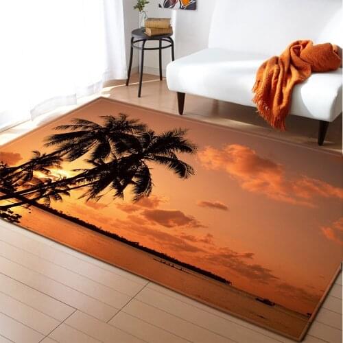 Bedroom Living Room Carpet Home Hallway Bedside Childrens Decoration Large Rug Balcony Kids Tatami Bathroom Anti-Slip Floor Mat