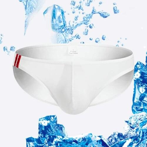 Mens Sexy Underwear Brief Elastic Soft Convex Breathable Bodycon Translucid Briefs Mens Underwear Shorts Cueca Gay Male Panties