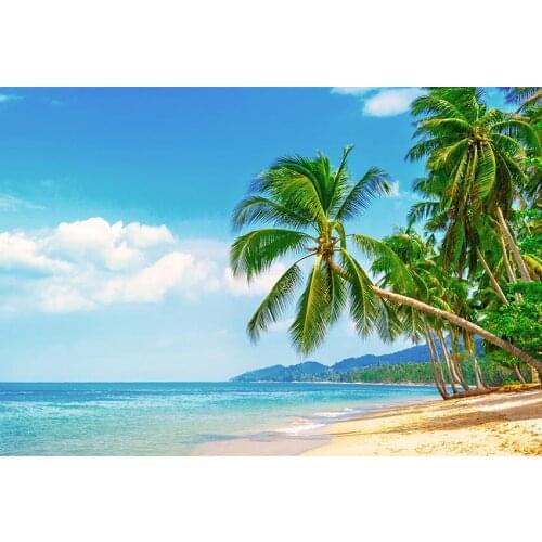 Sea beach summer photo backgrounds vinyl fotografia palm tree photographic backdrops for kid photo studio kits photophone lv-443