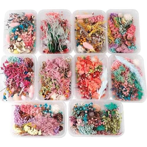 1 Doos Gedroogd Diy Accessoires Bloem Droog Planten Voor Aromatherapie Kaars Epoxy Hars Hanger Ketting Sieraden Maken Craft